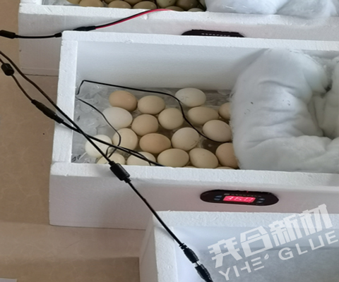 泡沫专用胶水帮助客户解决泡沫箱EPS泡沫粘泡沫的问题